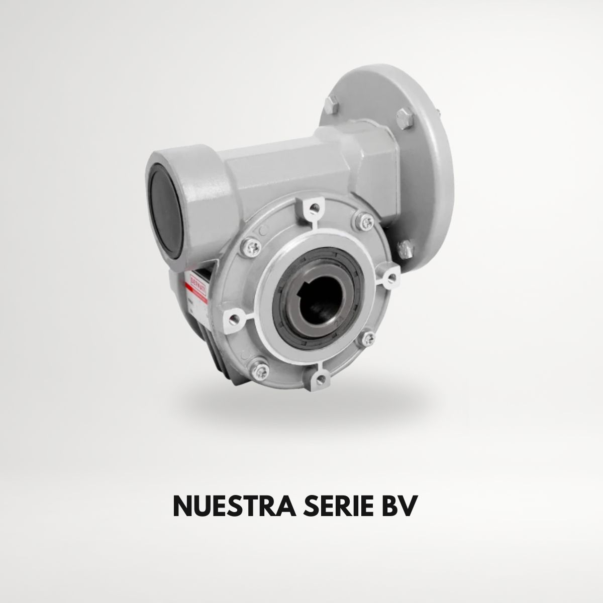 BLOG_1_ES_BV