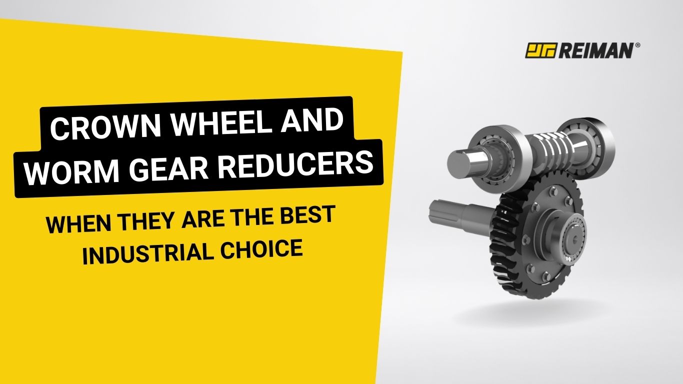 Crown wheel and worm gear reducers: when they are the best industrial choice | REIMAN