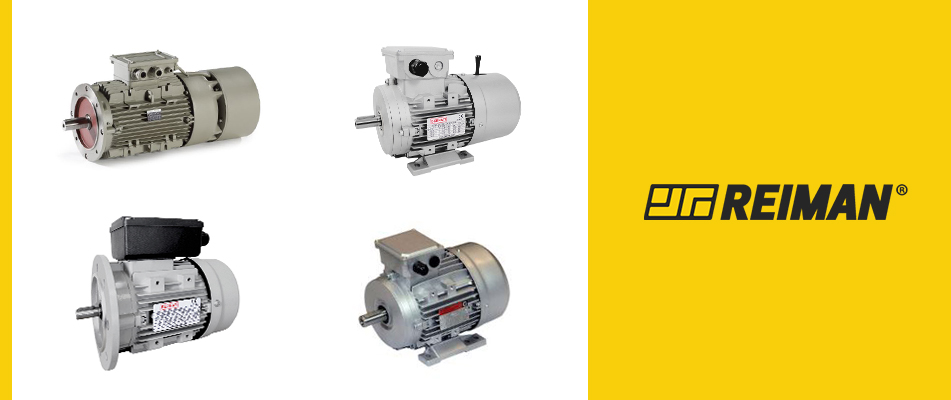 What are the most common types of electric motors?