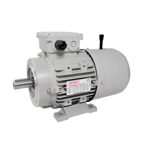 BCL 1.10kW Carcasa 90L 1000rpm B3/B14 - Motor Eléctrico Trifásico IEC con freno DC