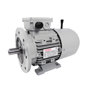 BCL 1.10kW Carcasa 90L 1000rpm B3/B5 - Motor Eléctrico Trifásico IEC con freno DC