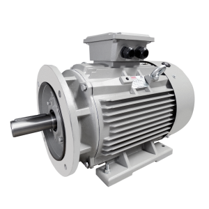 BCT 0.75kW Carcasa 80 3000rpm B3/B5 - Motor Eléctrico Trifásico IE3 IEC de carcasa de hierro fundido