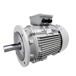 BCT 0.75kW Carcasa 80 3000rpm B5 - Motor Eléctrico Trifásico IE3 IEC de carcasa de hierro fundido