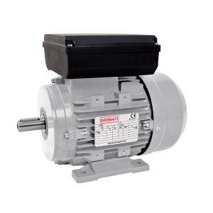Single Phase Double Capacitor IEC Electric Motors - BDM Series