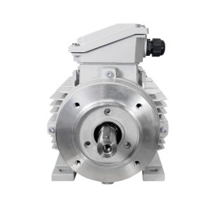 BMT 0.09kW Carcasa 56 1500rpm B3 - Motor Eléctrico Trifásico IE1 IEC de carcasa de aluminio