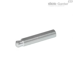 DIN 6332-NI Grub Screws Stainless Steel