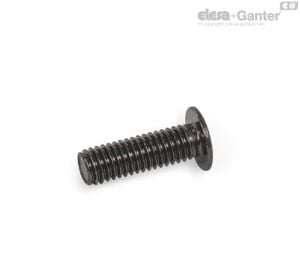 GN 14580.5-BN Socket Cap Screws Steel