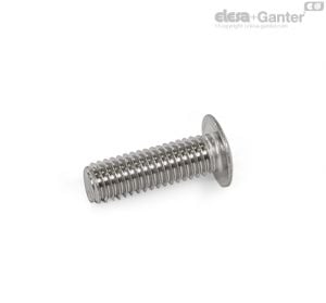 GN 14580.5-NI Socket Cap Screws Stainless steel