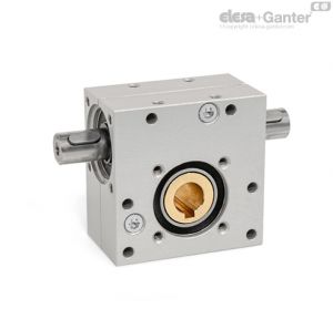 GN 3975-B Worm Gear Reducers Continuous drive