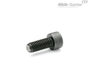 GN 606 Ball point screws Steel