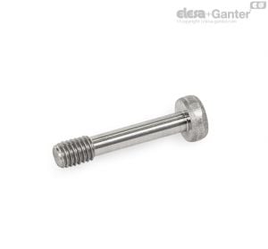 GN 7984.2 Socket Cap Screws