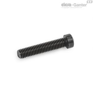 GN 7984.3 Socket Cap Screws