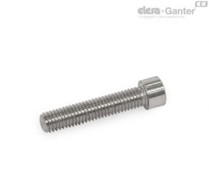 GN 912.3 Socket Cap Screws