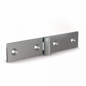 Hinge 30 mm with - 6 holes