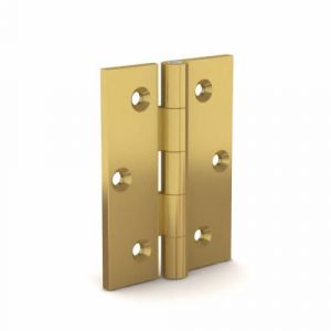 Brass hinges - 6 holes A