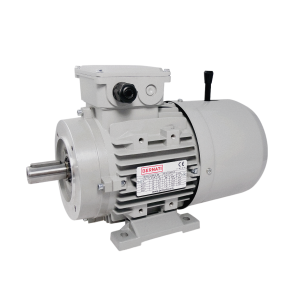 BCL 0.09kW Carcasa 63 1000rpm B3/B14 - Motor Eléctrico Trifásico IEC con freno DC