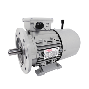 BCL 0.09kW Carcasa 63 1000rpm B3/B5 - Motor Eléctrico Trifásico IEC con freno DC