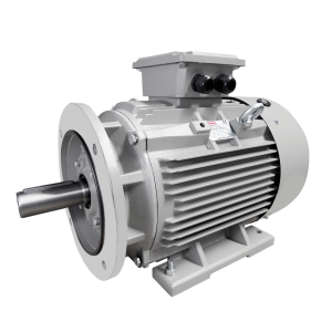 BCT 110.00kW Carcasa 315S 3000rpm B3/B5 - Motor Eléctrico Trifásico IE3 IEC de carcasa de hierro fundido