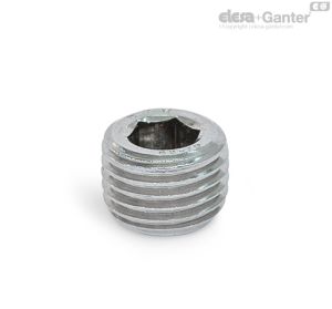 DIN 906-NI Tapones roscados Acero inoxidable