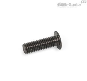 GN 14580.5-BN Tornillos Allen Acero