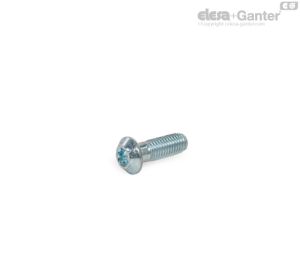 GN 21b Parafusos Centrais