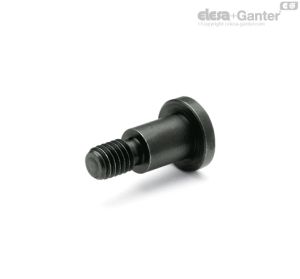 GN 732.1 Tornillos con resalto de cabeza cilíndrica Acero