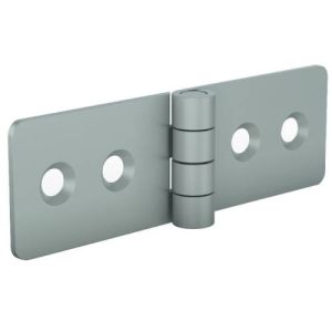 Bisagra 20 x 65 mm