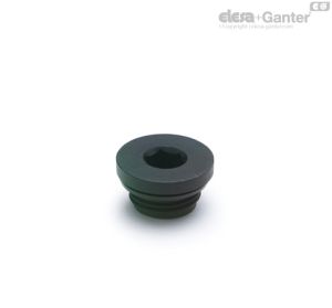 TCE-FKM Oil plugs With FKM packing ring