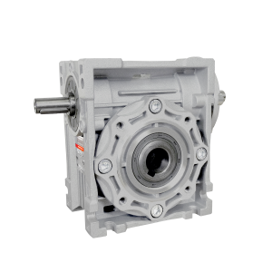 BGSB Worm gearboxes with double input shaft