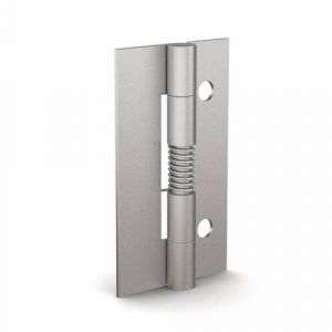 Spring hinges 60 mm long - with 2 holes